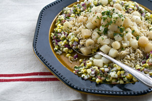 Scallop_Send.jpg